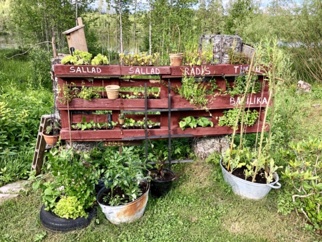 Salat und Kräutergarten